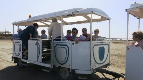 Sortie à Aigues Mortes - Visite de la ville, déjeuner et visite des Salins du midi