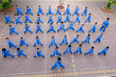 Le Vovinam Viet Vo Dao pour apprendre la discipline