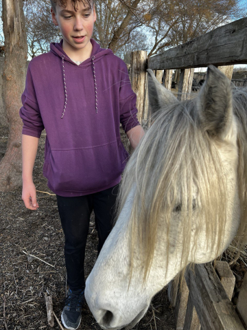 Le travail à la ferme en pédagogie Montessori