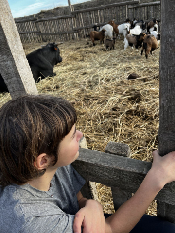 A la ferme à Terre d'envol, collège Montessori