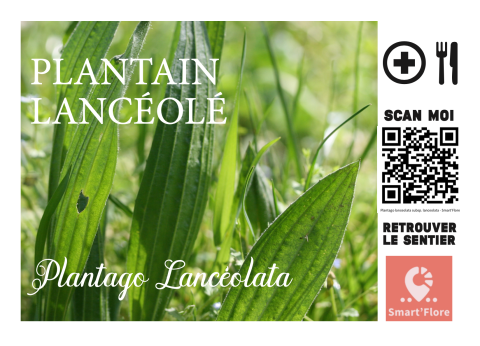 fiche identification sur sentier 