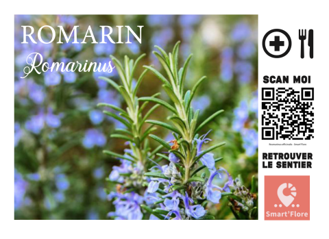 fiche identification sur sentier 