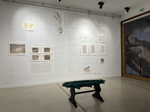 Exposition | La graaande traversée - Crédits : MAOM