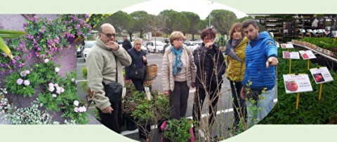 Sortie Jardinage à la Mosson