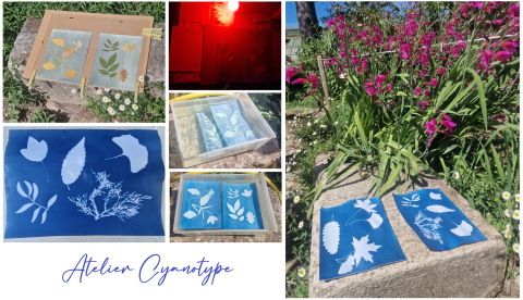 Atelier Cyanotype