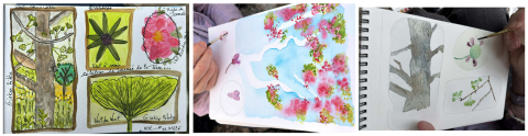Atelier Dessin botanique