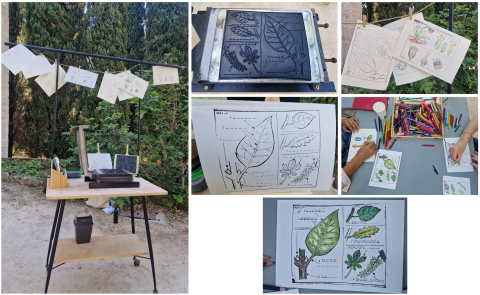 Atelier Imprimerie des apprentis botanistes