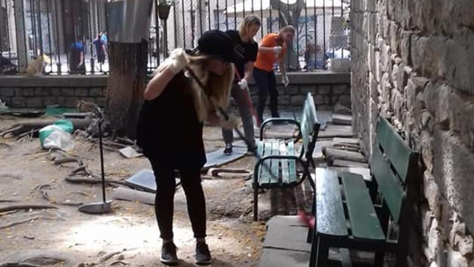 Ecovolontariat à Barcelone, Protection Animale dans un refuge pour chiens et chats