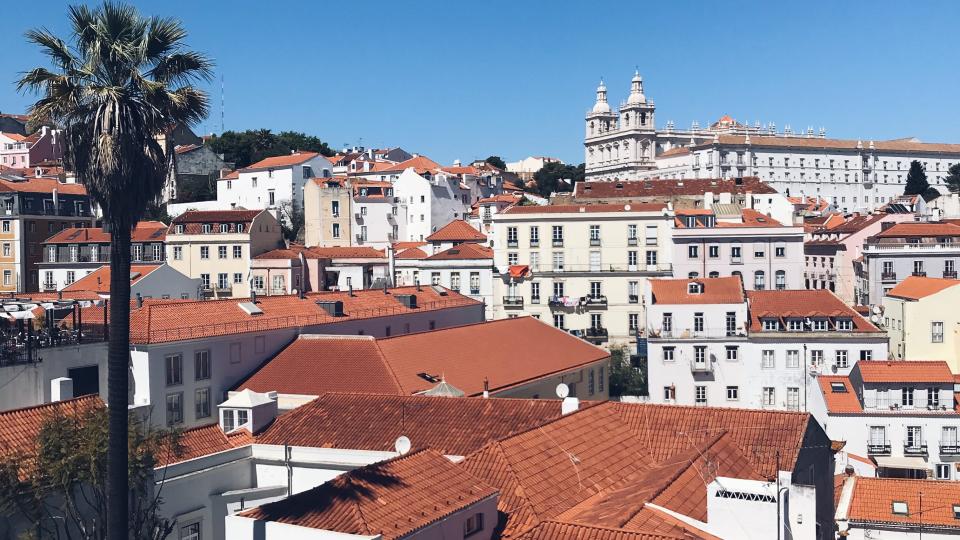 Ecovolontariat à Lisbonne, lutte contre le gaspillage alimentaire